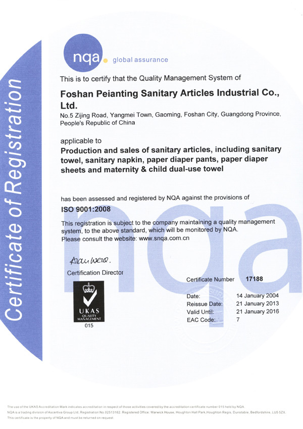 ISO9001证书（英文）-佩 安婷